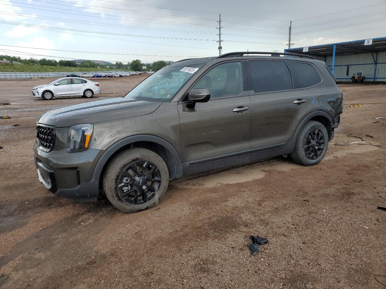 2024 Kia Telluride Sx na sprzedaż w Colorado Springs, CO - Rear End