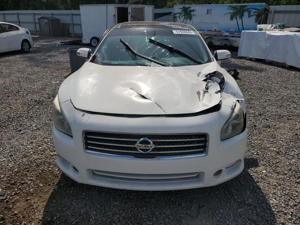 2009 Nissan Maxima S VIN: 1N4AA51E19C805368 Lot: 57650445