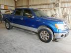 2013 Ford F150 Supercrew for Sale in Abilene, TX - Hail