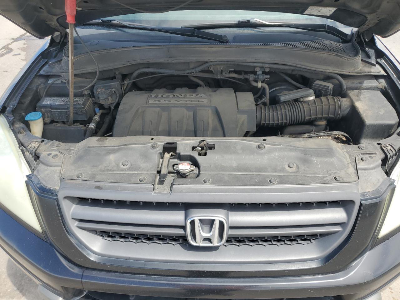 2005 Honda Pilot Ex VIN: 5FNYF18415B014769 Lot: 56502525
