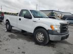 Orlando, FL에서 판매 중인 2013 Ford F150  - Rear End