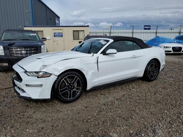 2023 Ford Mustang 