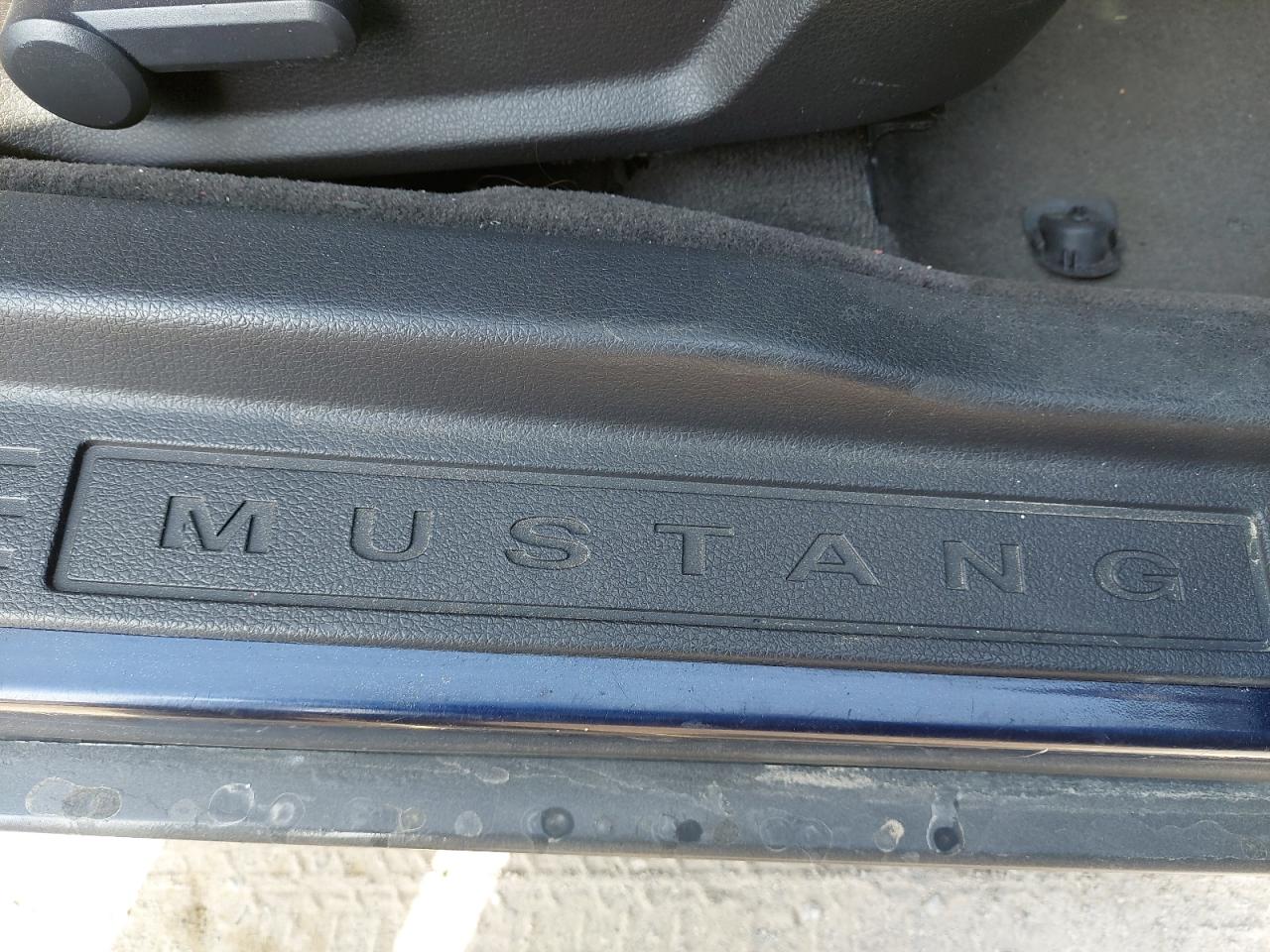 1ZVBP8AM1C5251263 - 2012 Ford MUSTANG - #undefined