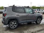 2019 Jeep Renegade Trailhawk for Sale in Littleton, CO - Hail