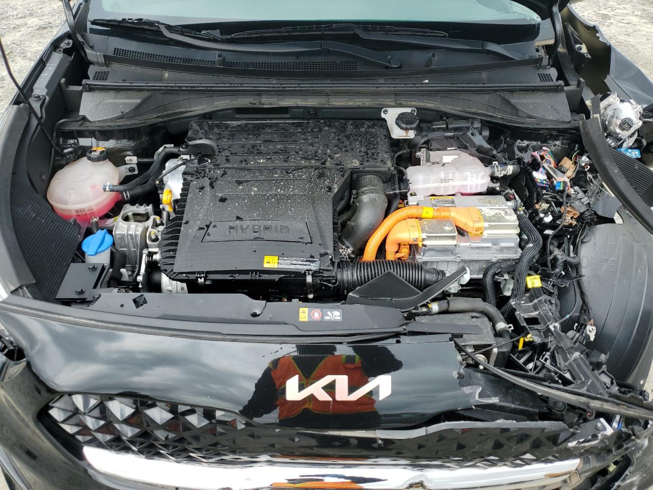2022 Kia Niro Lx VIN: KNDCB3LC8N5509875 Lot: 58981935