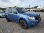 2009 Ford Escape Xlt на продаже в Hillsborough, NJ - Minor Dent/Scratches