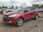 2013 Ford Escape Se for Sale in Chicago Heights, IL - Rear End