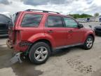 2012 Ford Escape Xlt zu verkaufen in Glassboro, NJ - Rear End