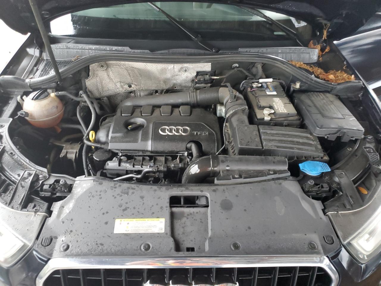 2015 Audi Q3 Premium Plus VIN: WA1BFCFS1FR005627 Lot: 56516085