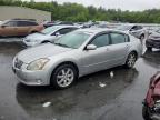 2005 Nissan Maxima Se за продажба в Exeter, RI - Side