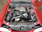 1998 Ford Mustang    for Sale in Madisonville, TN - Front End