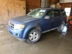 2009 Ford Escape Xlt for Sale in Ebensburg, PA - Rear End