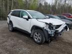 2023 Toyota Rav4 Xle en Venta en Cookstown, ON - Front End