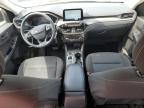 2023 Ford Escape  продається в Bridgeton, MO - Hail