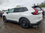 2023 HONDA CR-V EXL   à vendre chez Copart ON - TORONTO