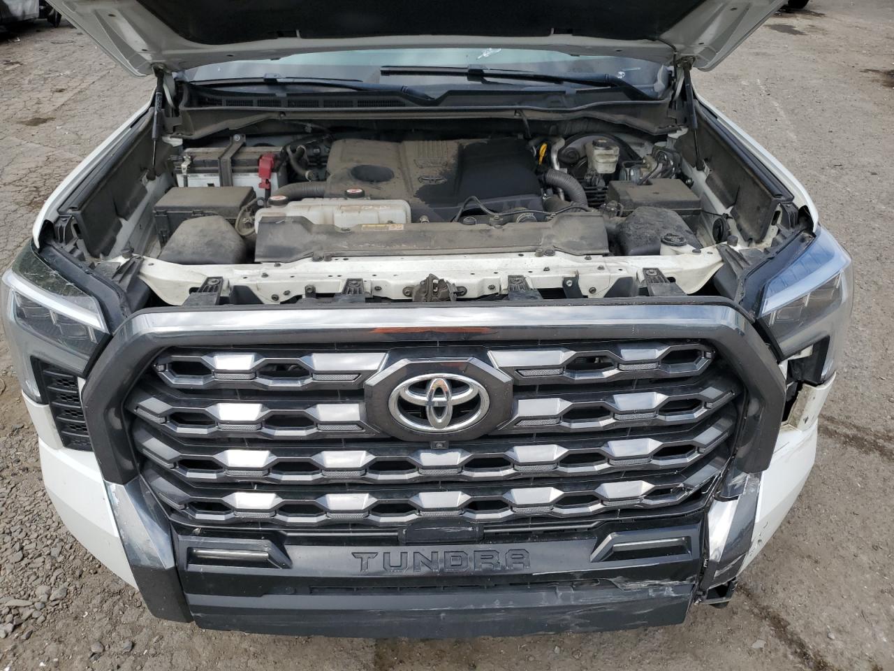 2022 Toyota Tundra Crewmax Platinum VIN: 5TFNA5DB3NX007647 Lot: 56211625