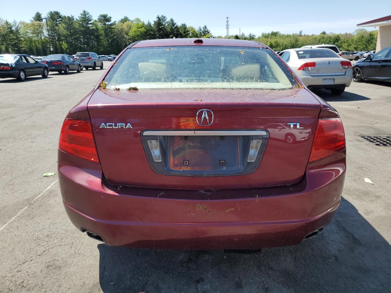 2006 Acura 3.2Tl VIN: 19UUA66266A036550 Lot: 56641865