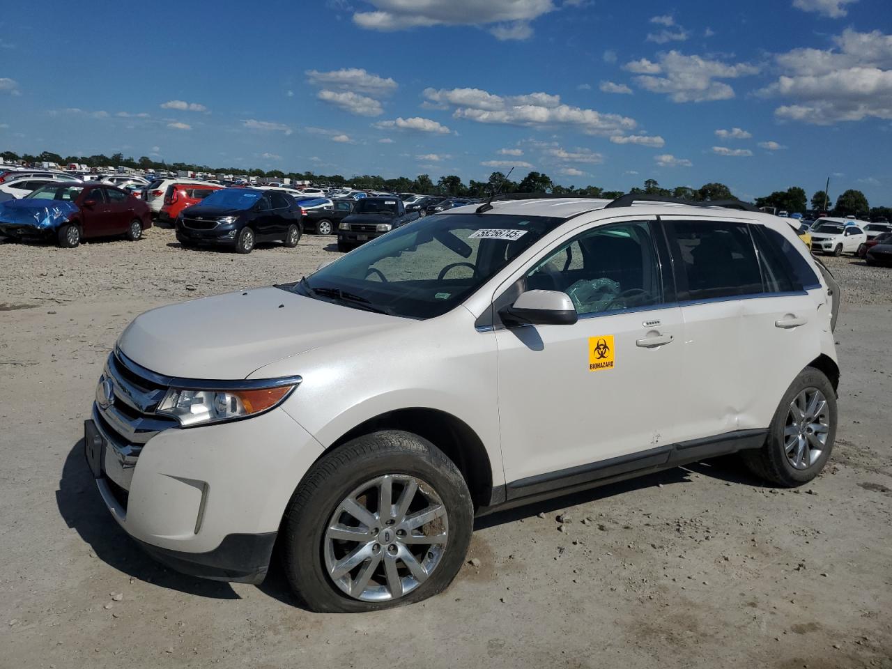 Sikeston, MO에서 판매 중인 2014 Ford Edge Limited - Rear End