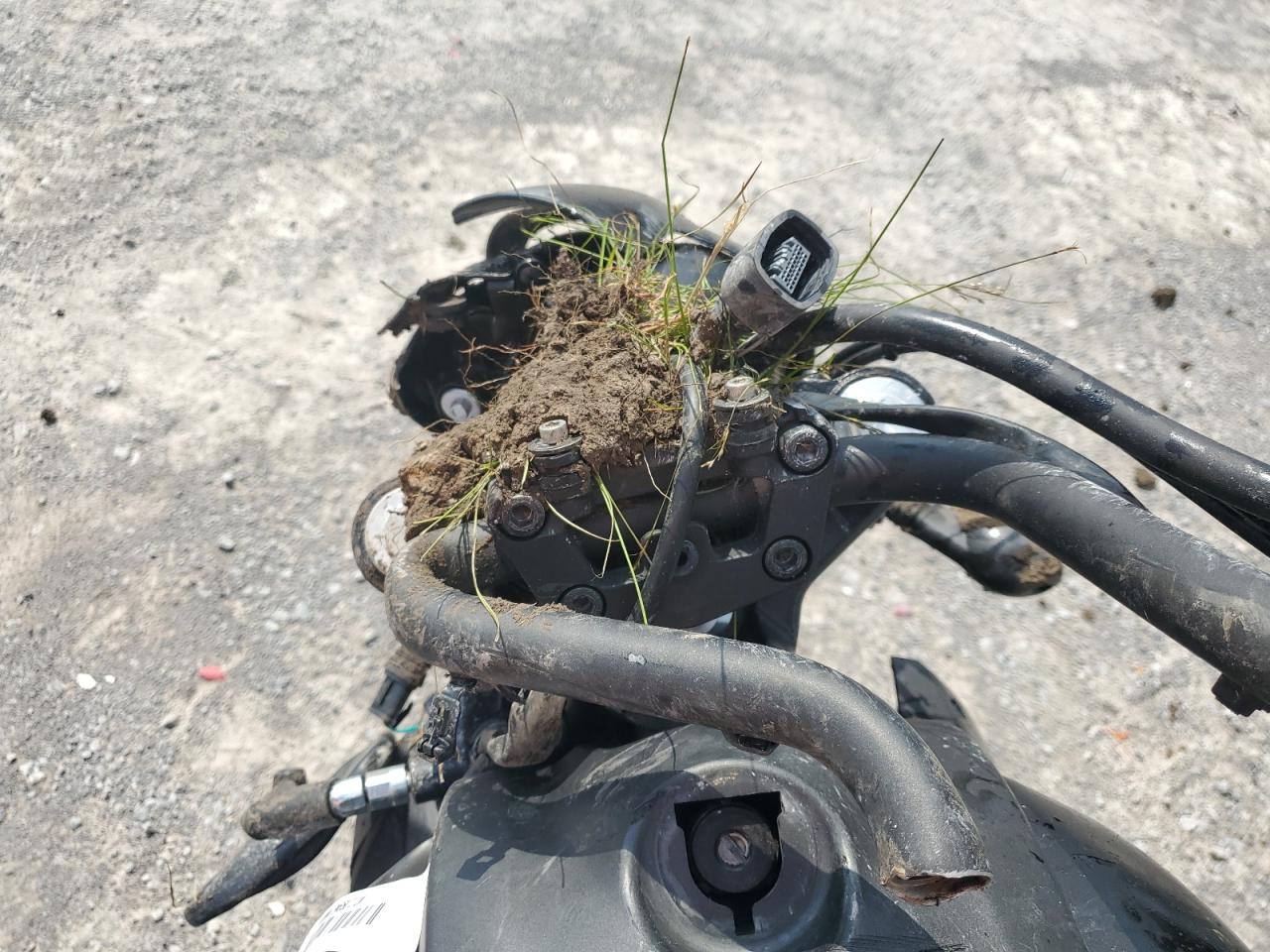 2023 Kawasaki En650 C VIN: JKAENEC18PDA08064 Lot: 57230335
