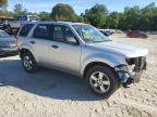 2009 Ford Escape Xlt продається в Seaford, DE - Rear End