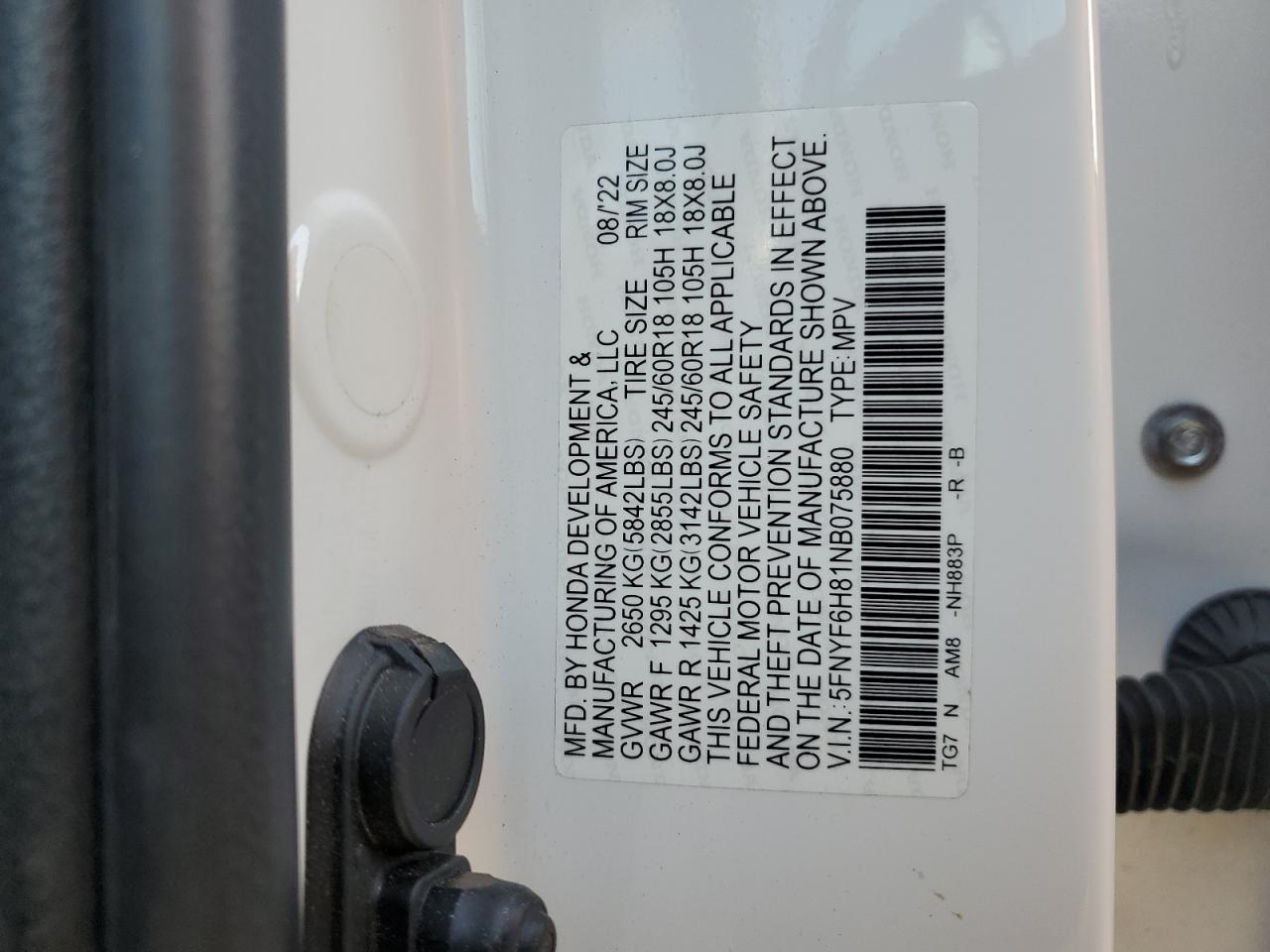 2022 Honda Pilot Trailsport VIN: 5FNYF6H81NB075880 Lot: 56548105