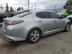 2014 Kia Optima Hybrid de vânzare în Rancho Cucamonga, CA - Front End