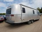 1999 Airstream Traveltrai de vânzare în Kincheloe, MI - Hail