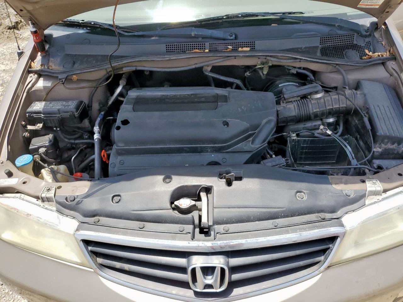 2004 Honda Odyssey Exl VIN: 5FNRL18024B028057 Lot: 56678325