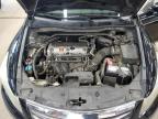 2011 Honda Accord Exl იყიდება East Granby-ში, CT - Minor Dent/Scratches