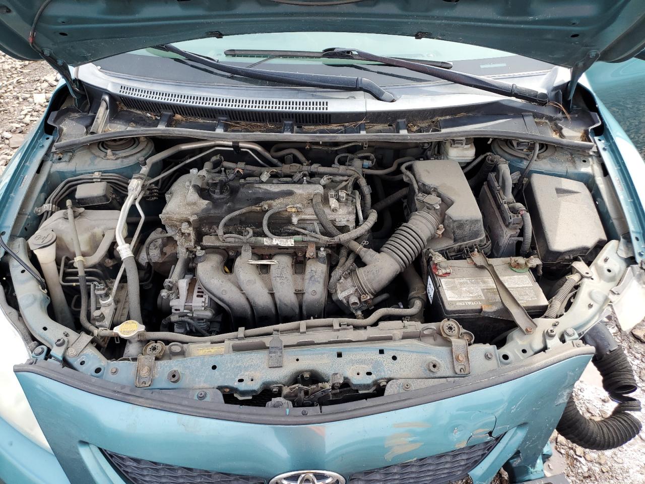 2010 Toyota Corolla Base VIN: 2T1BU4EE2AC286353 Lot: 57248055