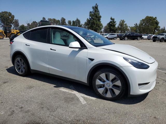  TESLA MODEL Y 2023 White