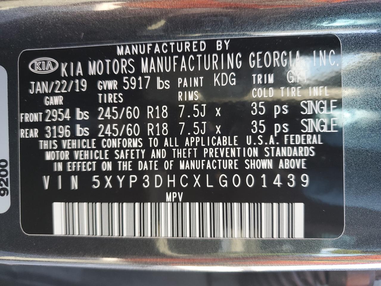 2020 Kia Telluride Ex VIN: 5XYP3DHCXLG001439 Lot: 56702845
