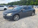 2011 Nissan Maxima S for Sale in Eight Mile, AL - Front End