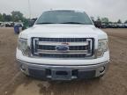 Elgin, IL에서 판매 중인 2013 Ford F150 Super Cab   - Side