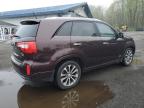 2014 KIA SORENTO SX à vendre chez Copart CT - HARTFORD SPRINGFIELD
