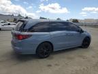 2024 Honda Odyssey Sport   на продаже в Martinez, CA - Vandalism