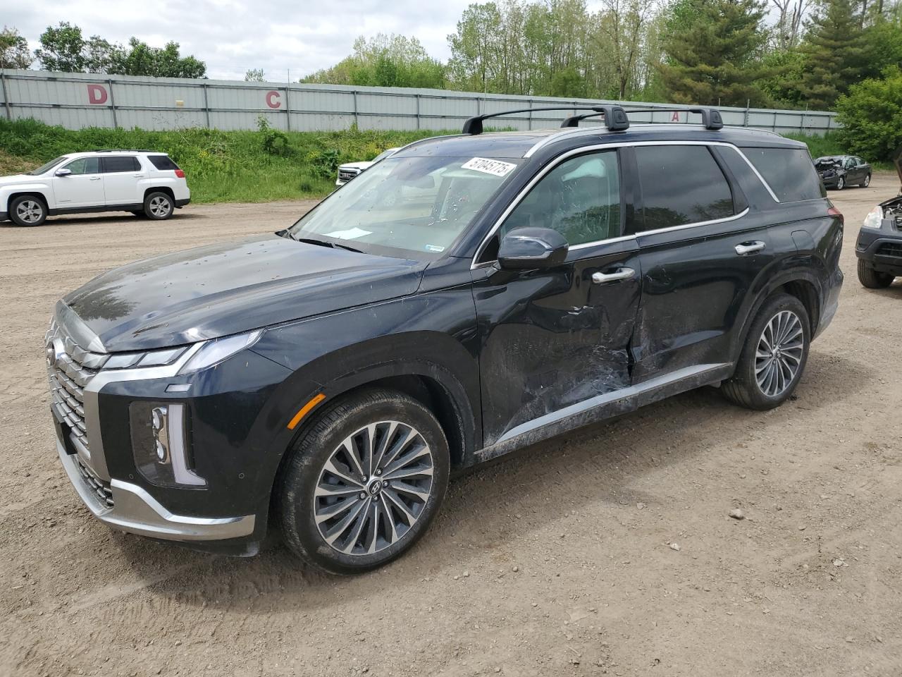2024 Hyundai Palisade Calligraphy на продаже в Davison, MI - Side