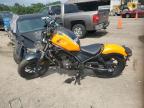 2024 Honda Cmx300  for Sale in Greenwell Springs, LA - All Over