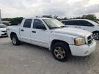 2005 Dodge Dakota Quad Slt zu verkaufen in Jacksonville, FL - Rear End
