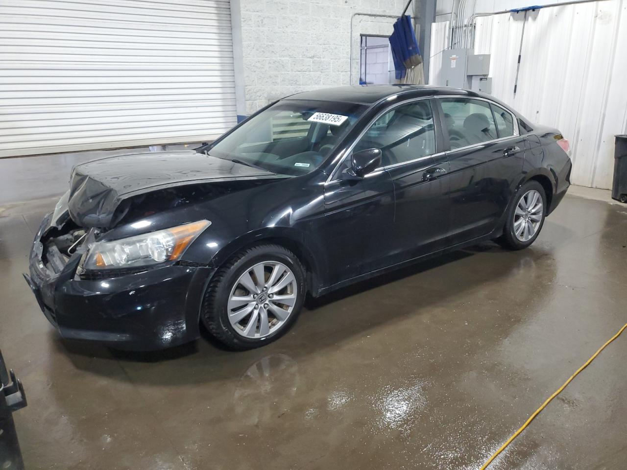 2011 Honda Accord Ex for Sale in Ham Lake, MN - Front End