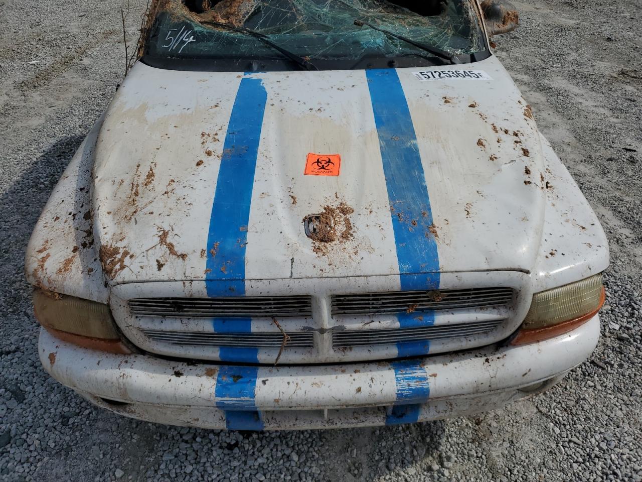 2000 Dodge Dakota VIN: 1B7GL22Z8YS588811 Lot: 57253645