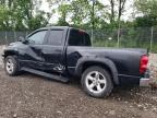 2008 Dodge Ram 1500 St for Sale in Cicero, IN - Side