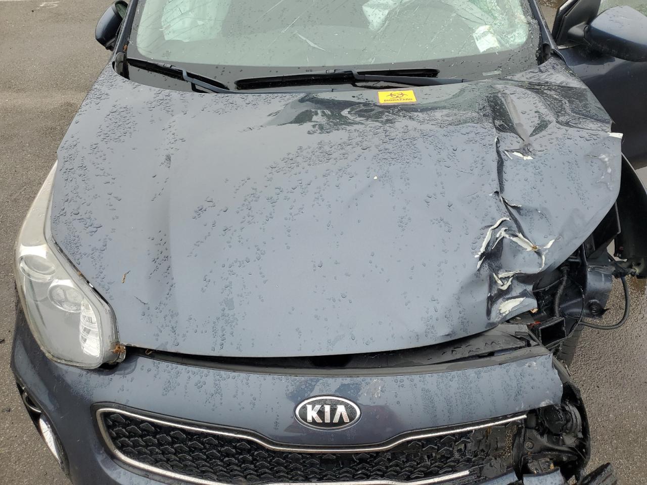 2019 Kia Sportage Lx VIN: KNDPMCAC4K7575208 Lot: 56488255