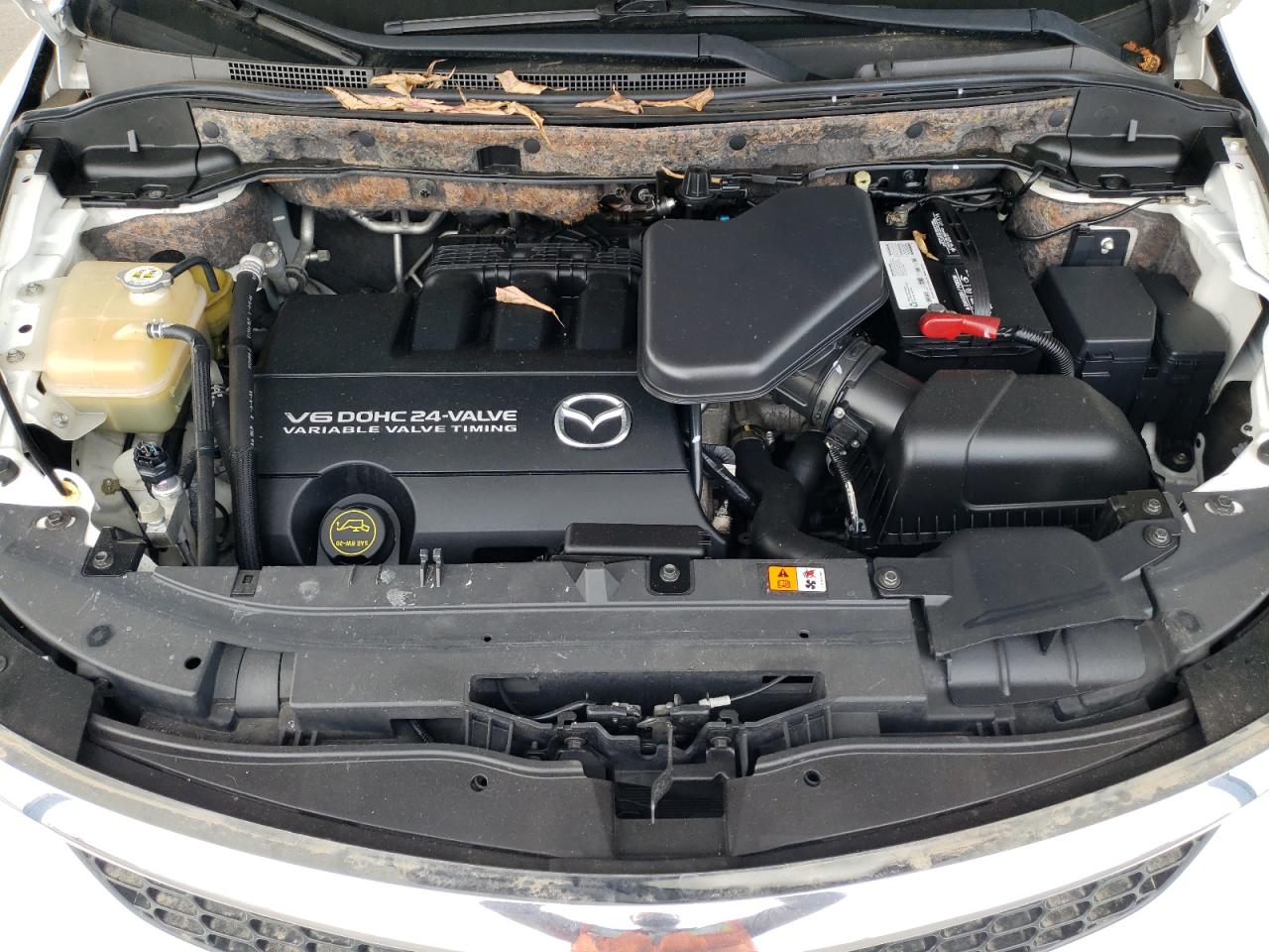 2008 Mazda Cx-9 VIN: JM3TB38V580146020 Lot: 57049455