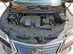2017 Lexus Rx 350 Base for Sale in New Braunfels, TX - Hail