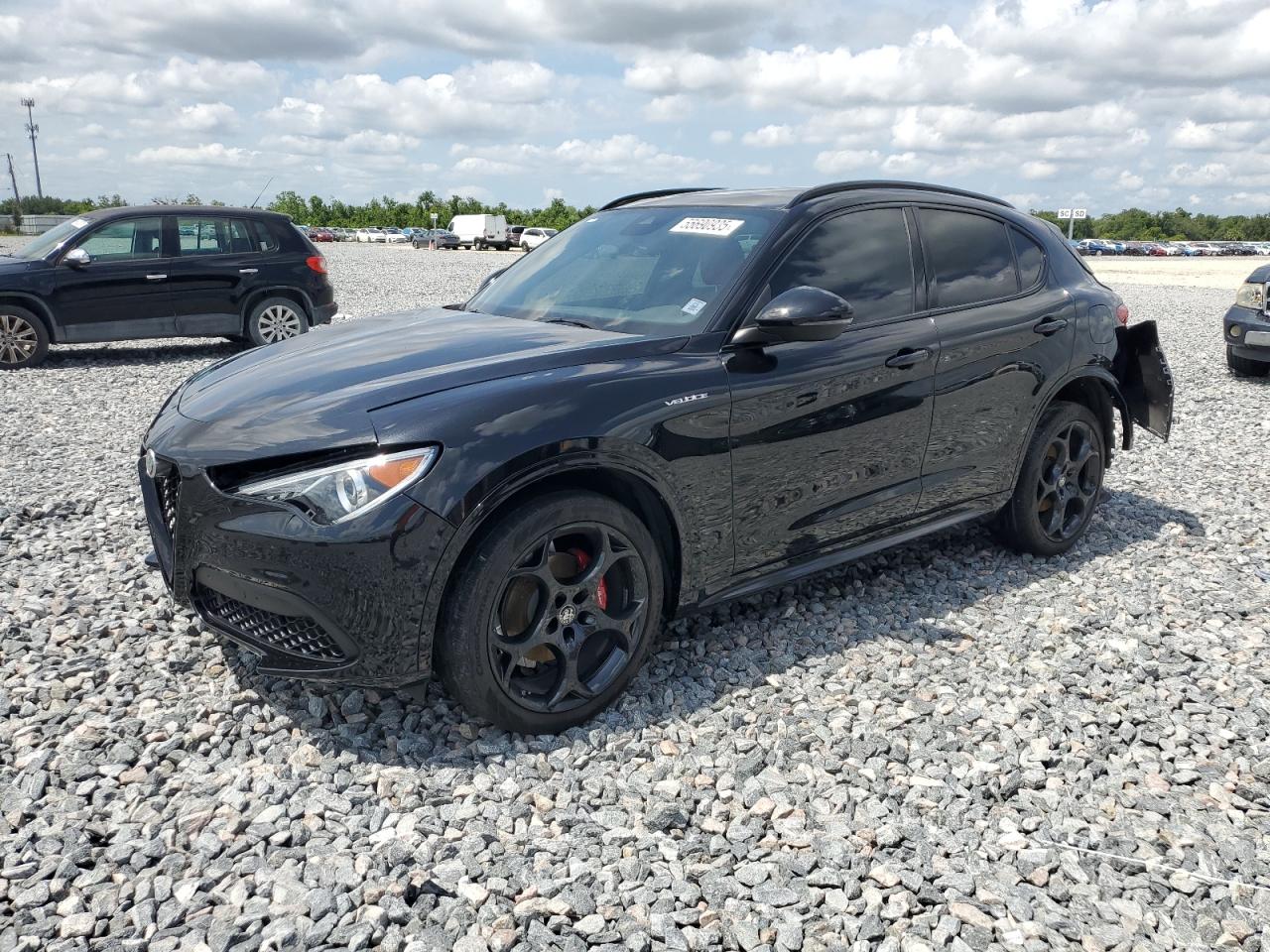 2022 Alfa Romeo Stelvio Ti на продаже в Arcadia, FL - Rear End
