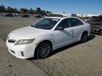 2011 Toyota Camry Hybrid   for Sale in Martinez, CA - Rear End