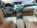 2012 Lexus Rx 350 للبيع في West Palm Beach، FL - Rear End