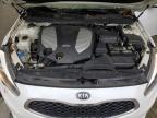 2014 Kia Cadenza Premium იყიდება Waldorf-ში, MD - Top/Roof