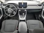 2022 Toyota Rav4 Le   for Sale in Woodhaven, MI - Rear End